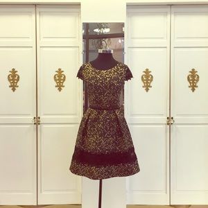 Beautiful Brocade Rengin Dress